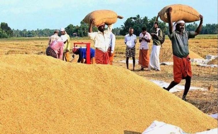 rice.jpg