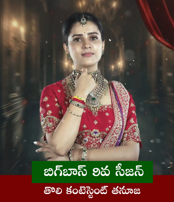 Bigg_20Boss_20Telugu_209_20Final_20Contestants_20List_20Photos__20_282_29.jpg 2