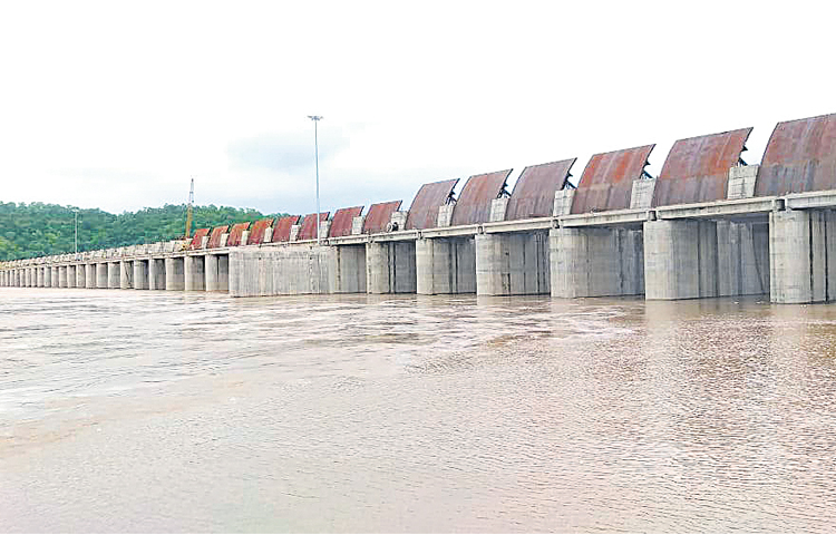 sammaka_20sagar.jpg