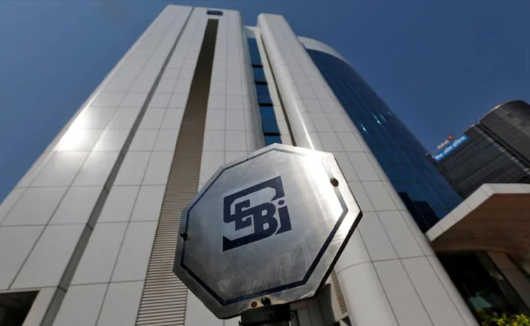 sebi.jpg
