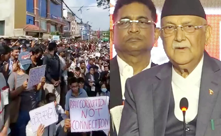 KP_20Oli.jpg