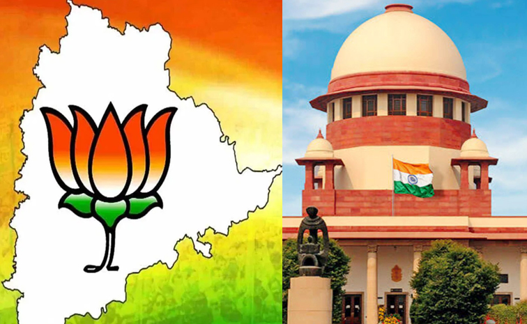 bjp1.jpg