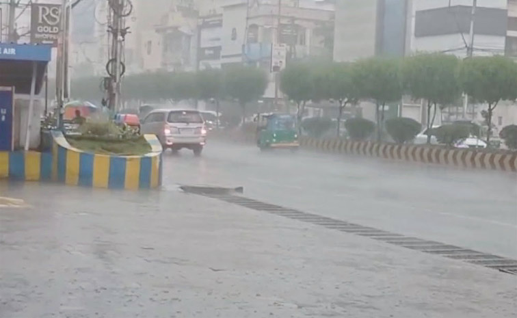 rains1.jpg