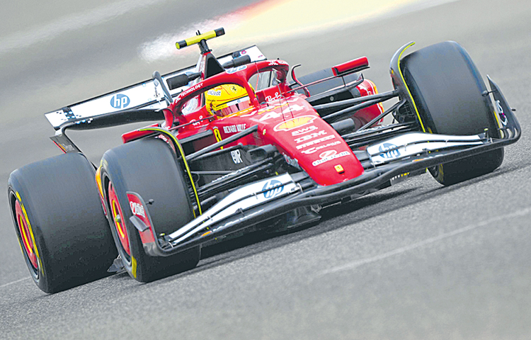 f1.jpg