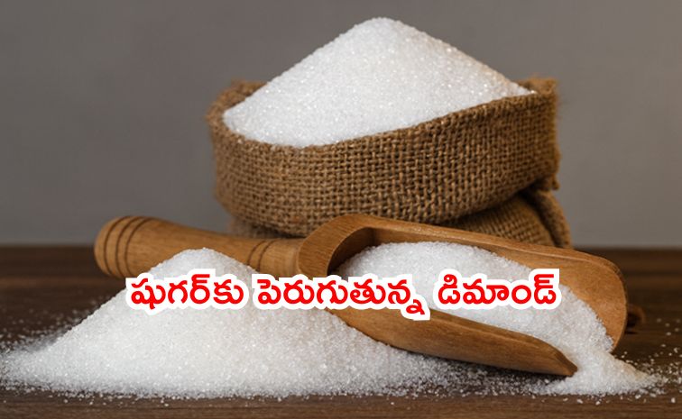 sugarr.jpg
