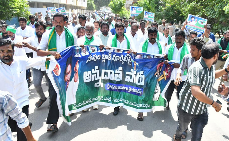 ysrcp1.jpg