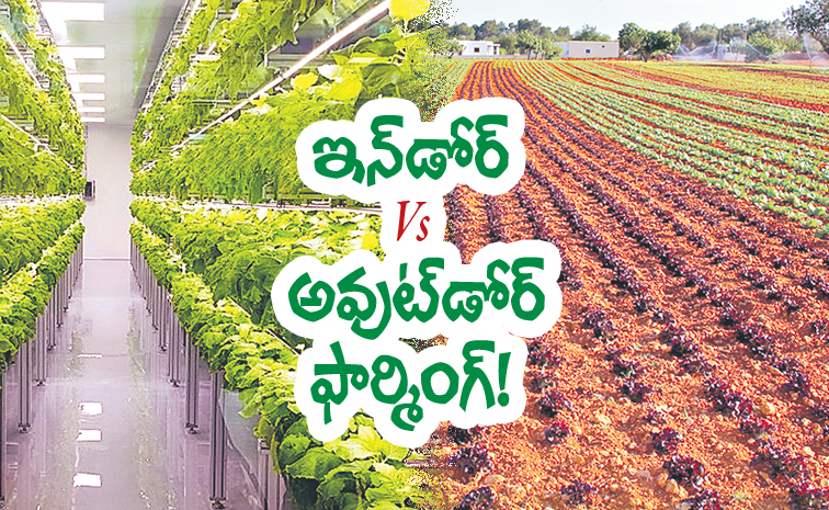 Indore-outdoor-farming.jpg