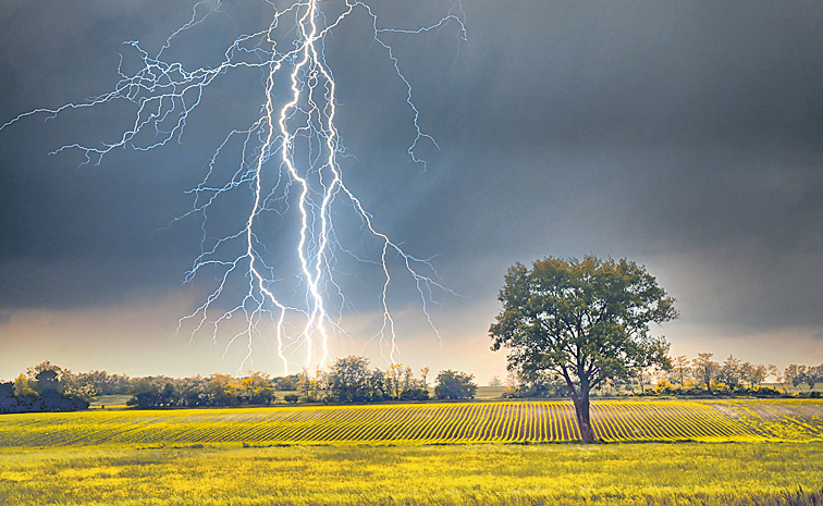 thunder.jpg