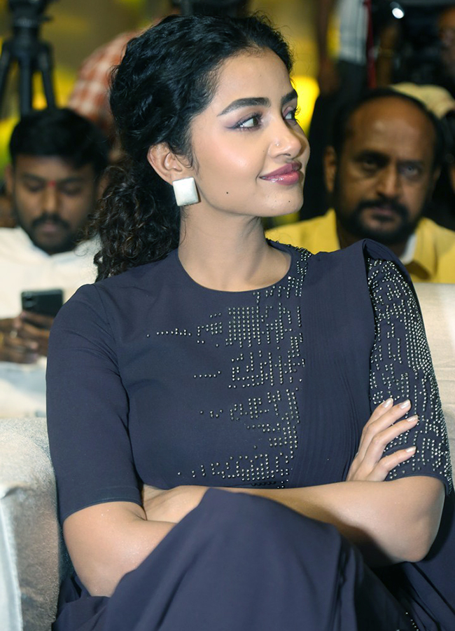 Actress_20Anupama_20Parameswaran_20HD_20Posters__20_286_29.jpg 6