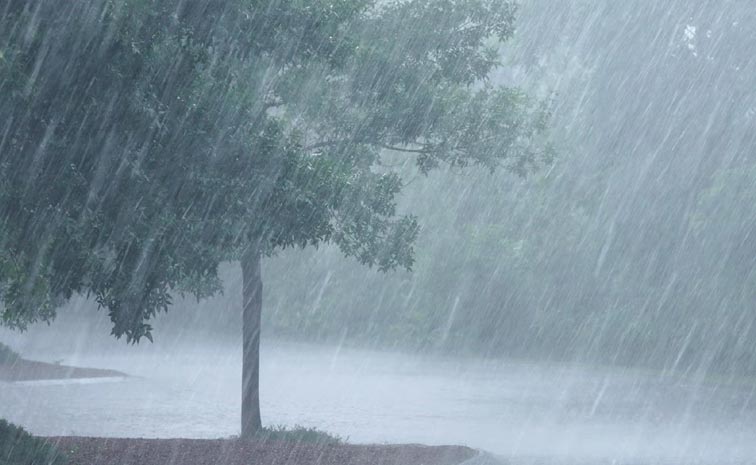 Heavy-rains.jpg
