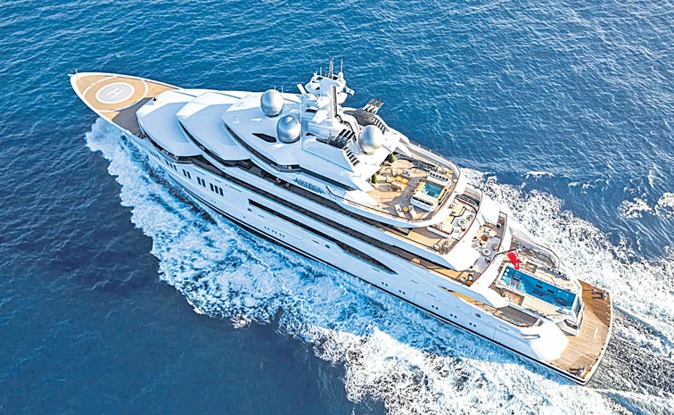 AMADEA-1.jpg