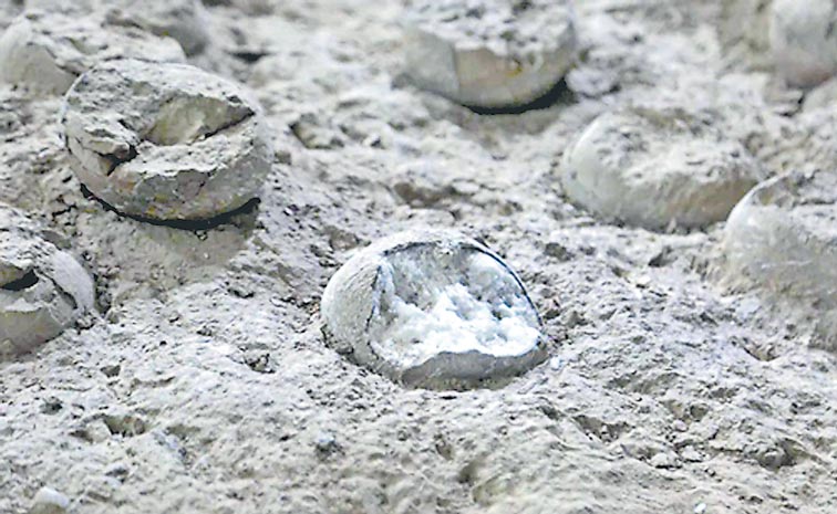 CRYSTALISED-DINOSAUR-EGG.jpg