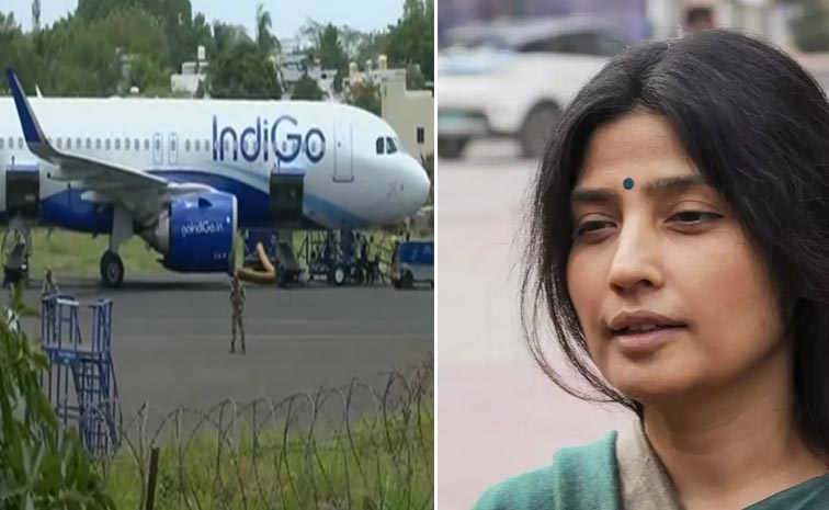 Indigo-Flight-Stopped-Durin.jpg