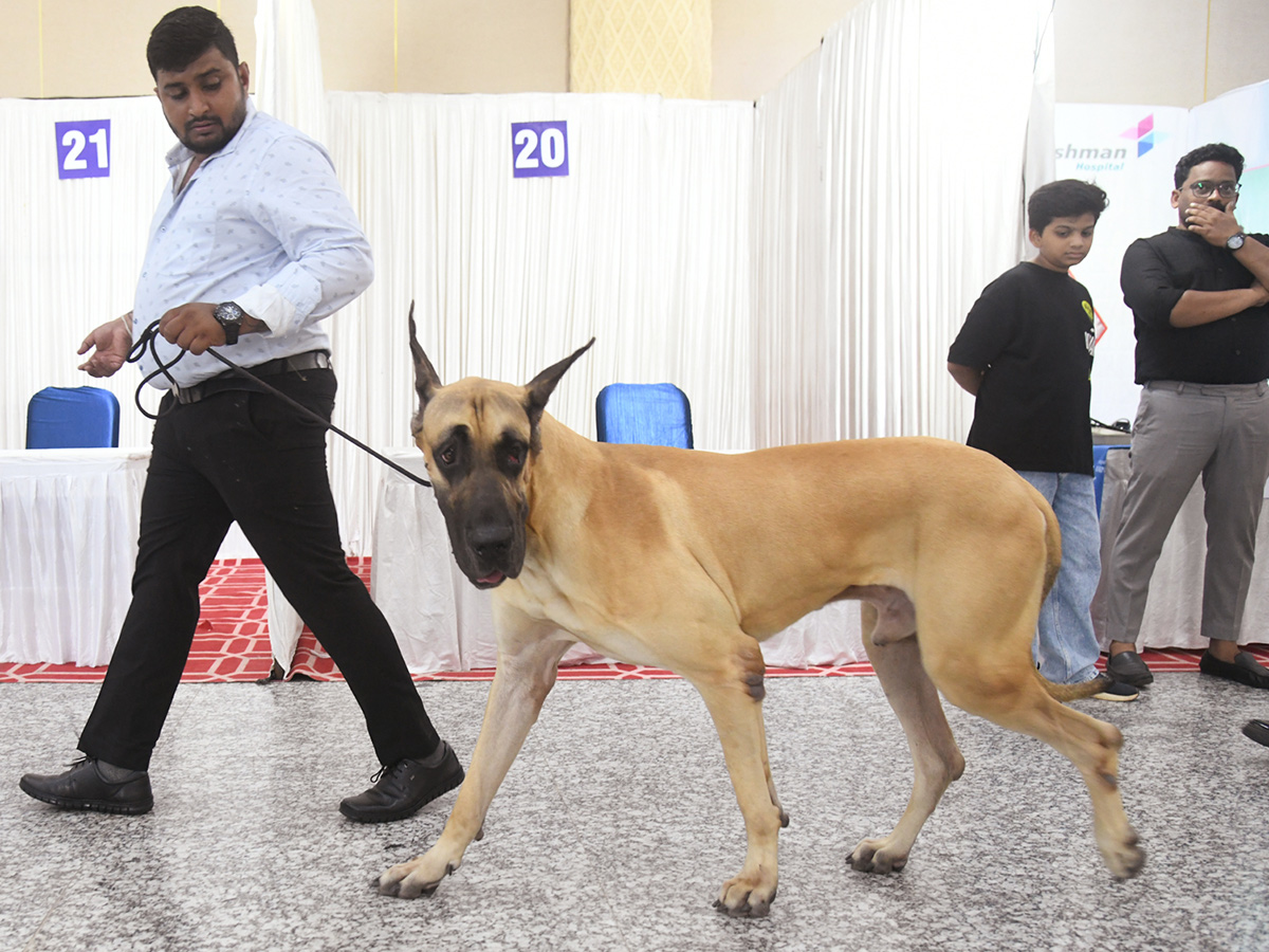 National_20Dog_20Show_20in_20Visakhapatnam__20_283_29.jpg 3