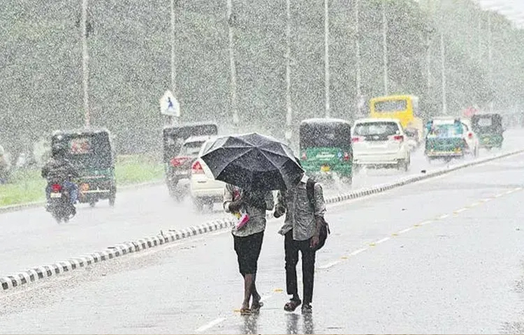rain.jpg