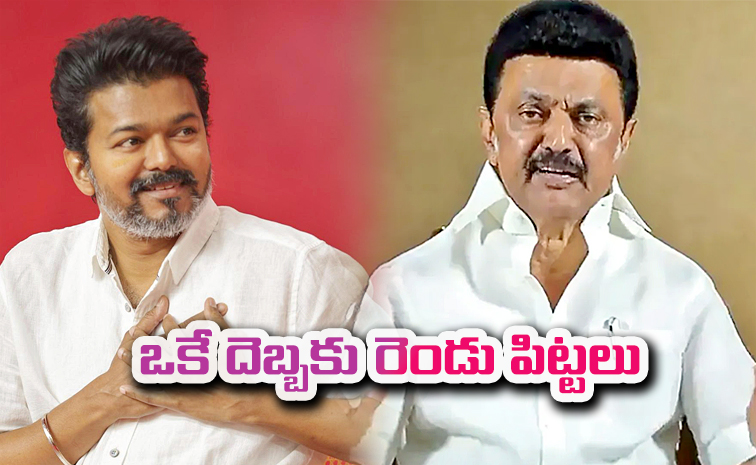 vijay-and-mk-stalin.jpg