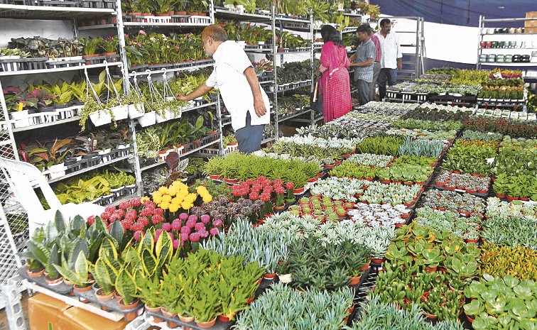 HorticultureShow.jpg