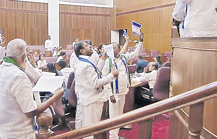 ycp.jpg