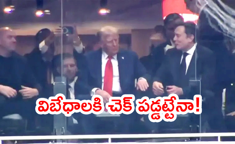 Trump-Elon-Musk.jpg