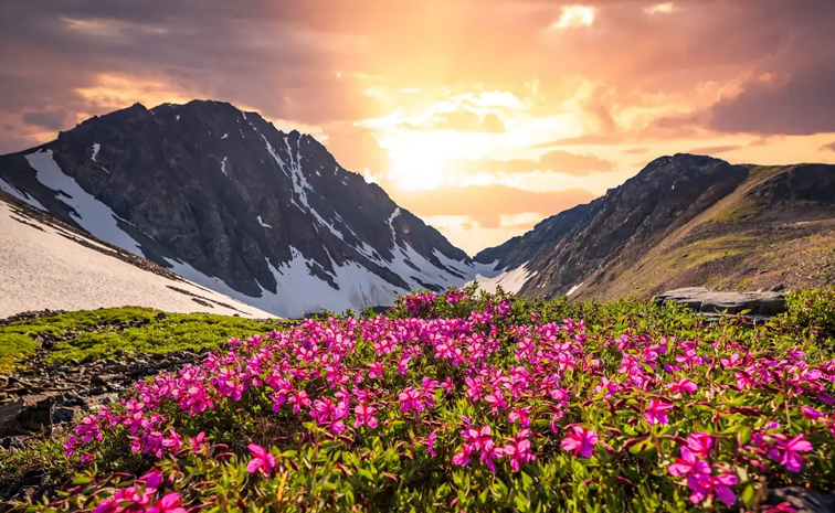 valley_20of_20flowers.jpg