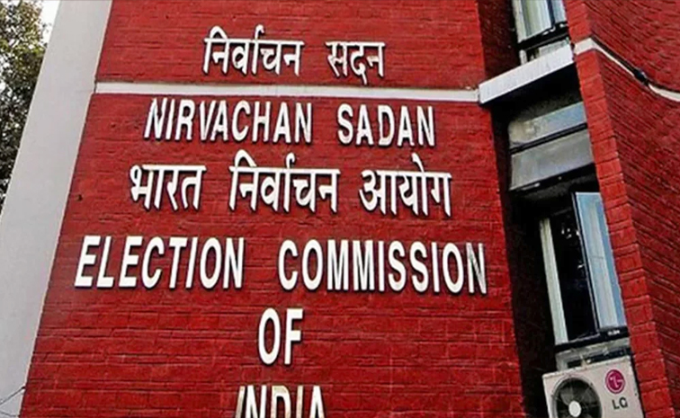 ec1.jpg