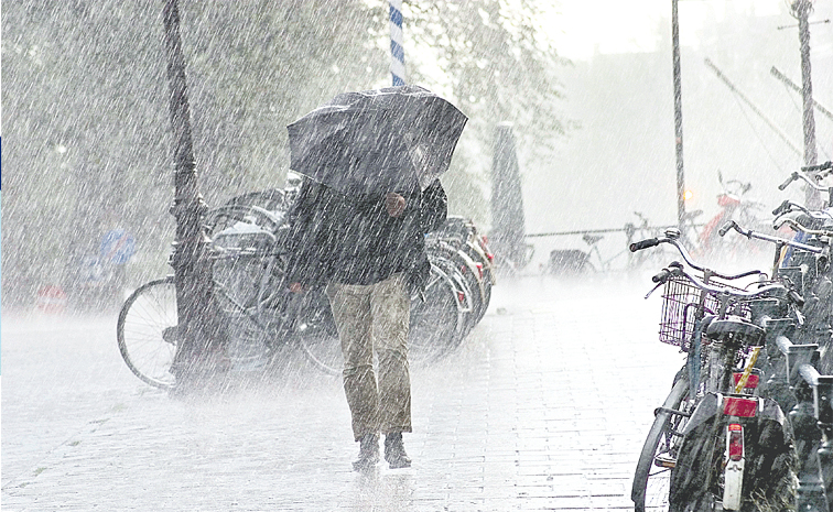 rain.jpg