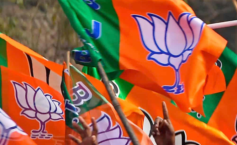 BJP1.jpg