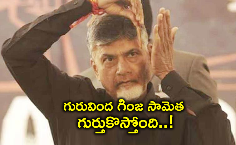 Chandrababu-Look.jpg
