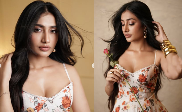 dhanaa.jpg