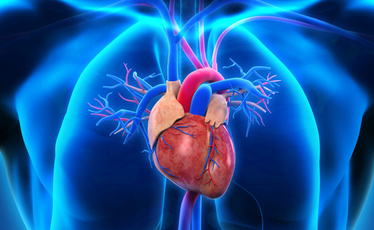WorldHeartday.jpg