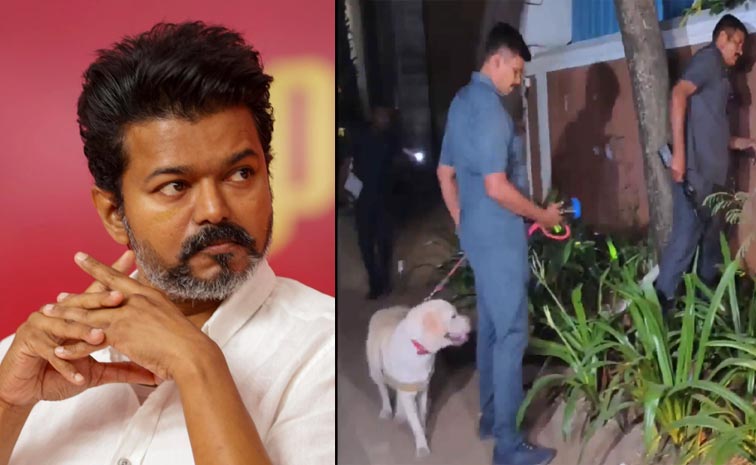 Vijay.jpg