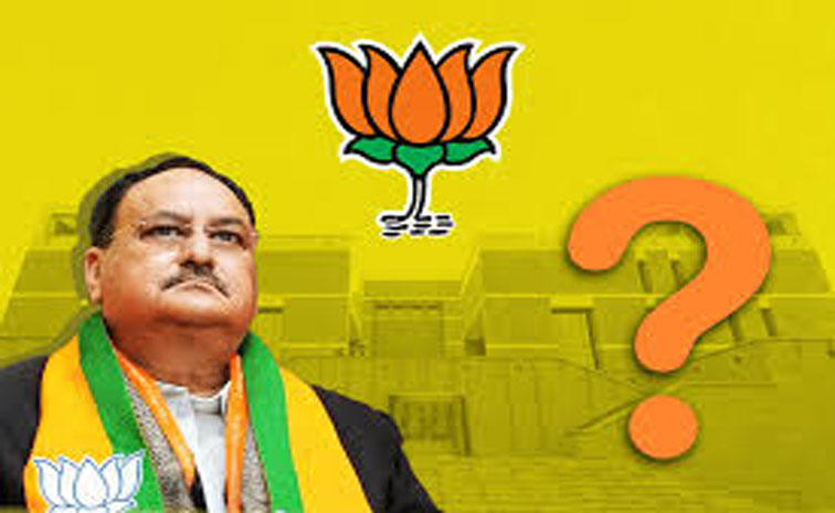 bjp.jpg