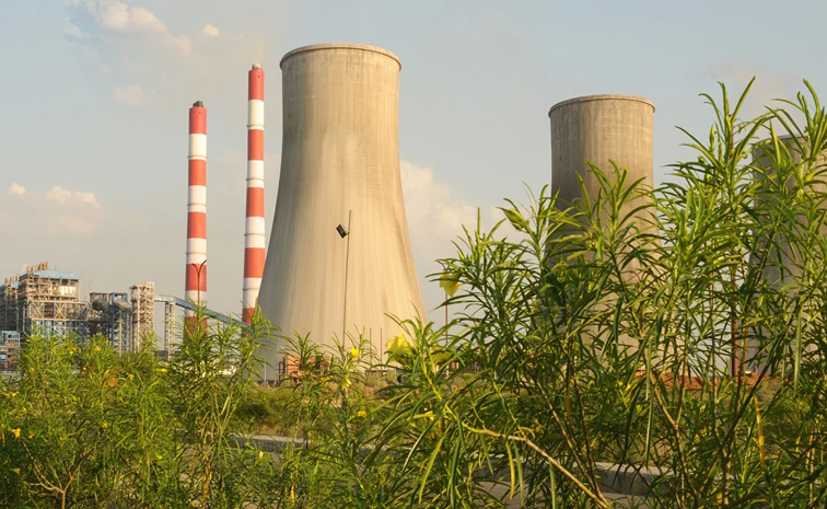 ntpc01.jpg