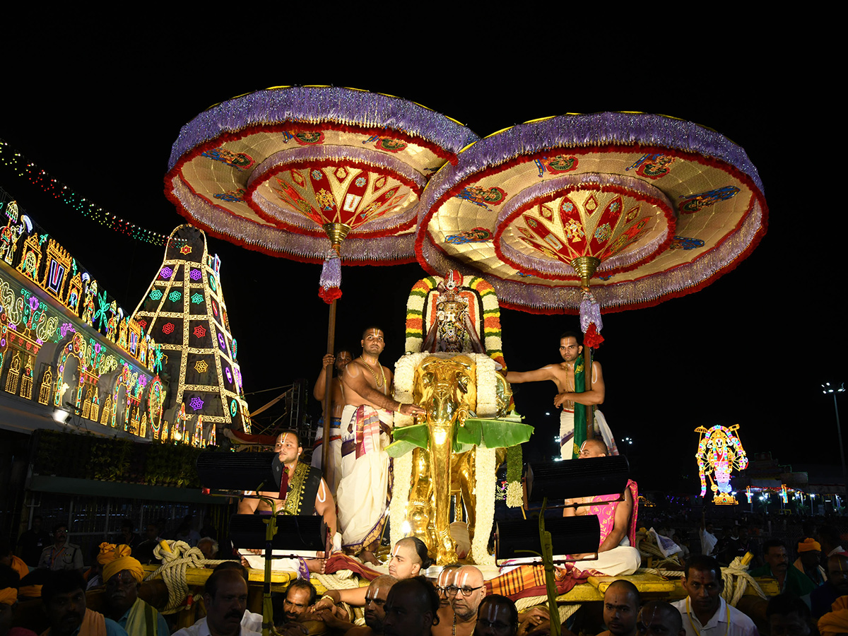 Tirumala_20Brahmotsavams_202025_20at_20Swarna_20Ratham_20Photos__20_2814_29.jpg 14