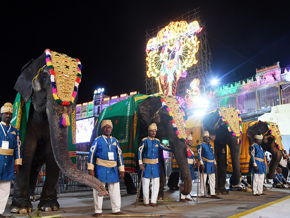 Tirumala_20Brahmotsavams_202025_20at_20Swarna_20Ratham_20Photos__20_282_29.jpg 2