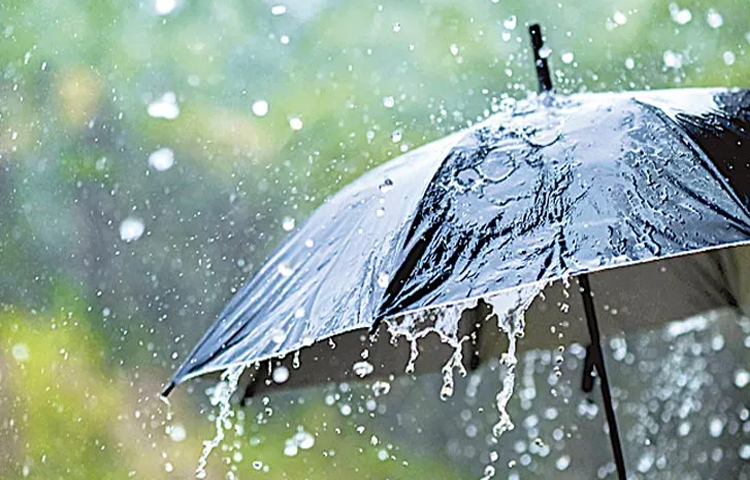 rain_202.jpg