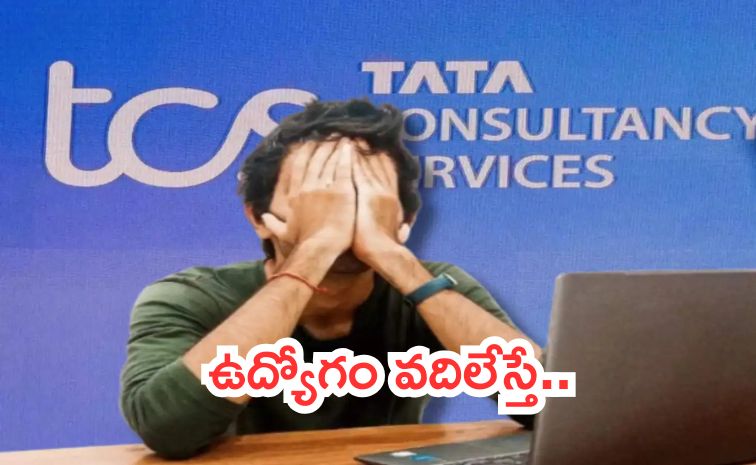 tcs.jpg
