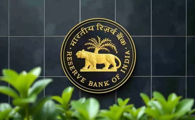 rbi.jpg