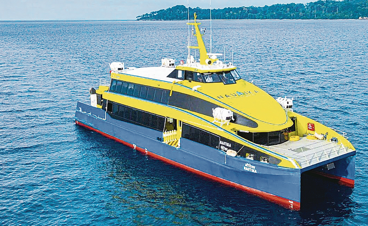 amazingandaman.jpg
