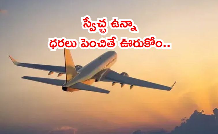 flightt.jpg