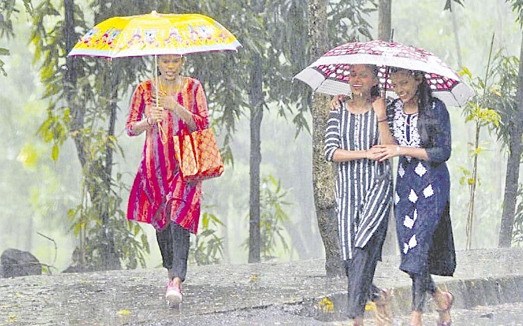 rain.jpg