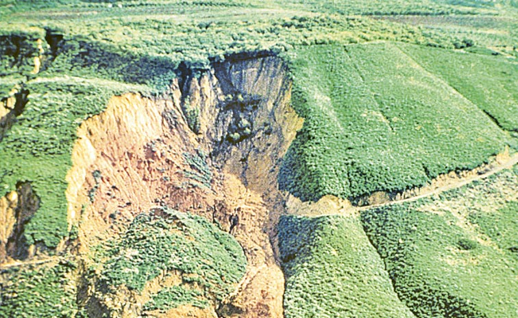 LAND.jpg
