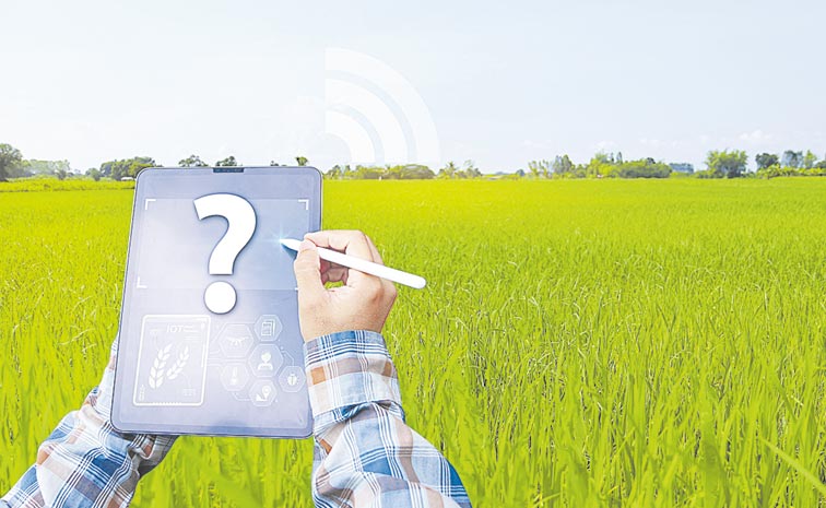 DIGITAL-PADDY-SURVEY.jpg