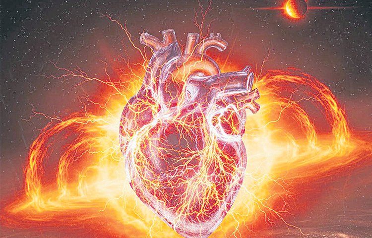 heart.jpg