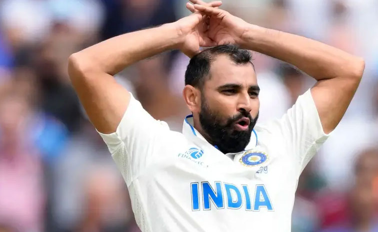 shami.jpg