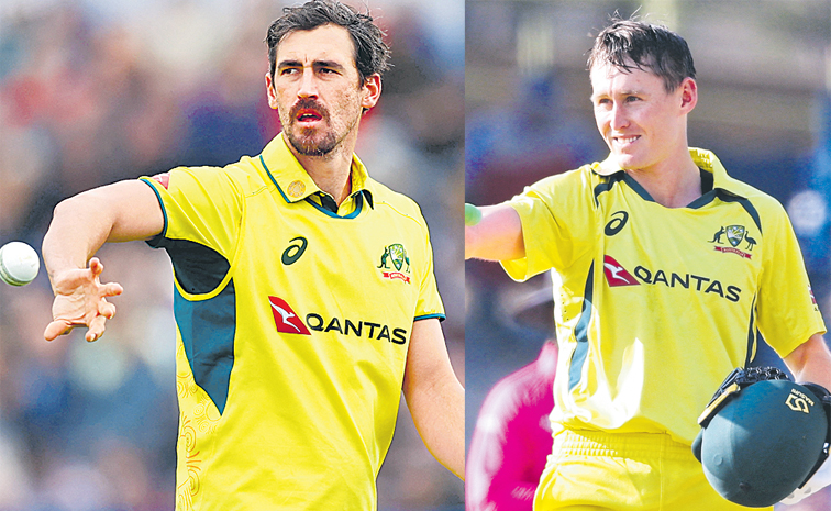 starc.jpg