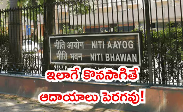 nitii.jpg