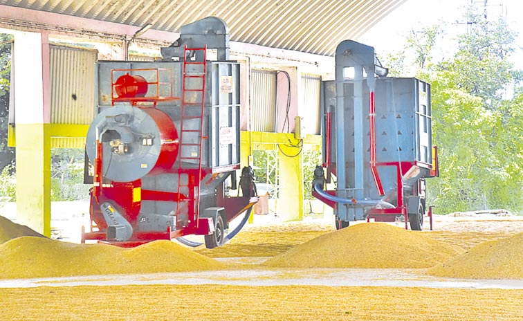 automatic-dryers.jpg
