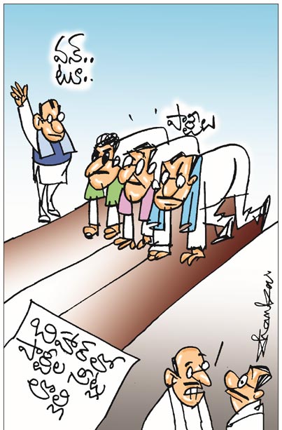 cartoon.jpg