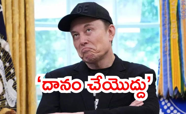 musk.jpg